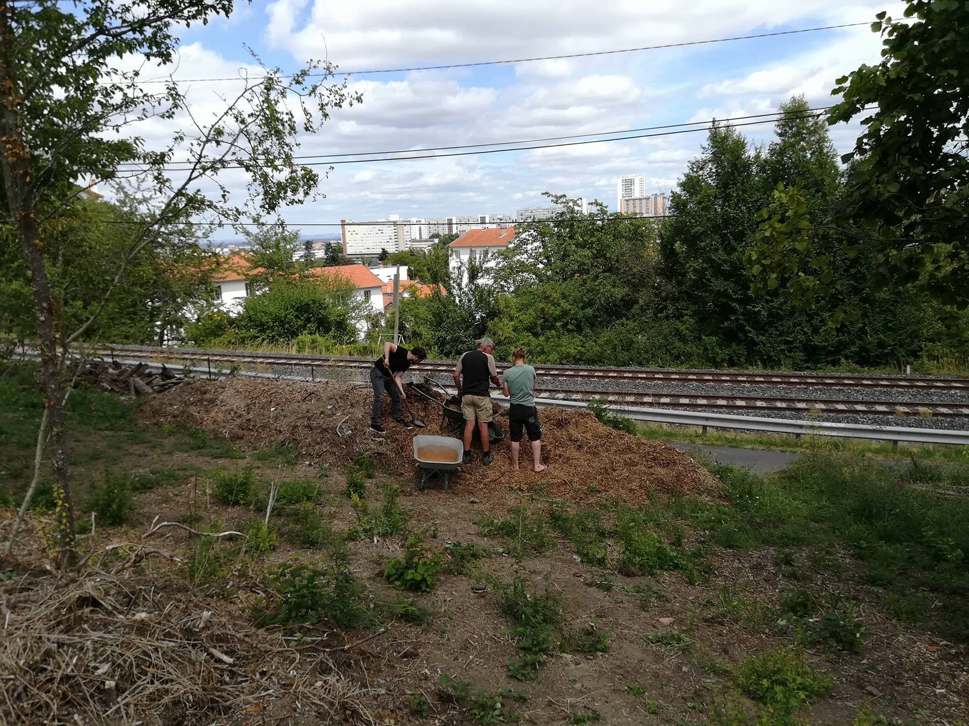 ferme_urbaine_1.jpg