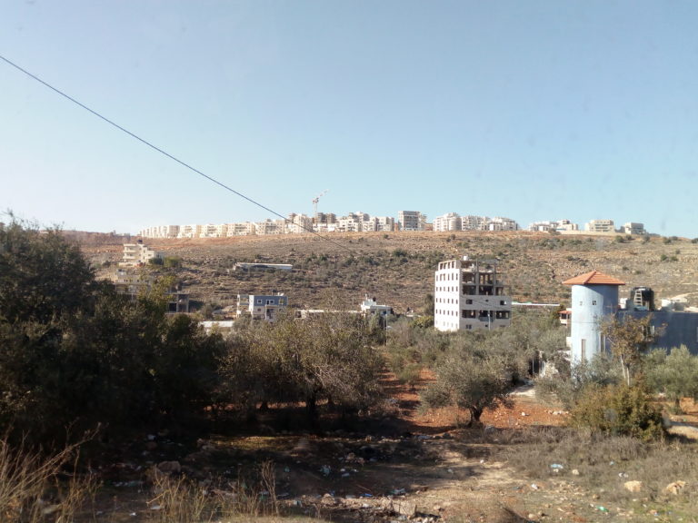 photo_palestine.jpg